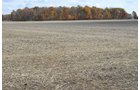 Property photo 10 - 75.3 Acres Offered in 2 Tracts